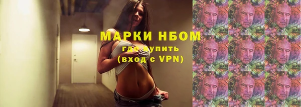 стафф Арсеньев