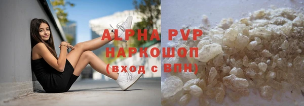 стафф Арсеньев