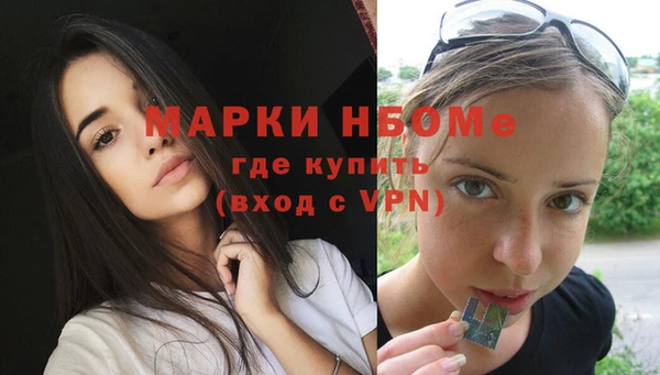 стафф Арсеньев