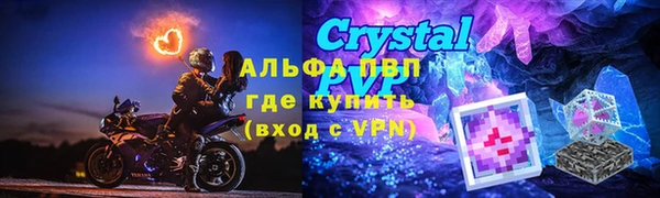 стафф Арсеньев